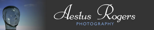Aestus Rogers - Toronto Portrait, Wedding & Fine Art Photographer